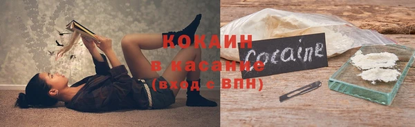 индика Абаза