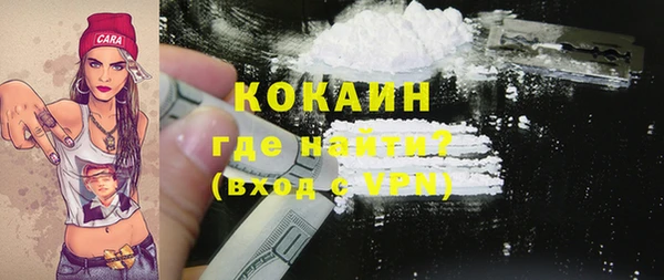 индика Абаза